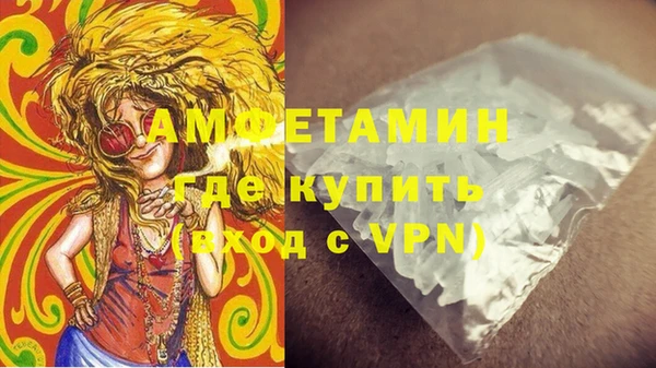 амф Горняк
