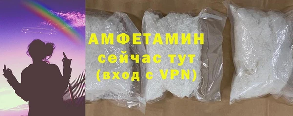 амф Горняк