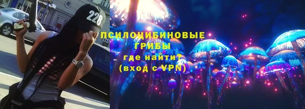 молекула духа Гусиноозёрск