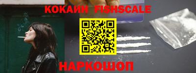 индика Гатчина