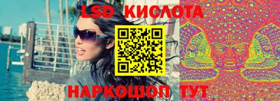 индика Гатчина