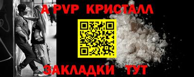 спиды Гай