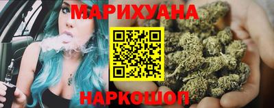 спиды Гай
