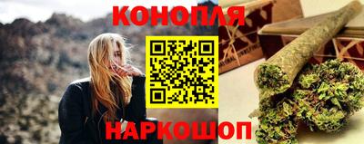 индика Гатчина