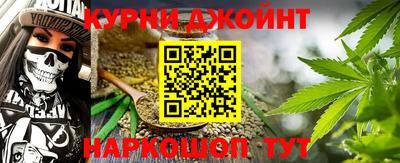 индика Гатчина