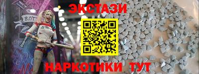 спиды Гай