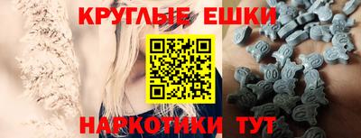 спиды Гай