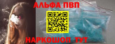 индика Гатчина