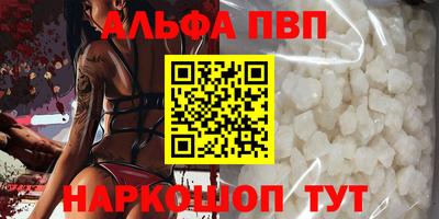 индика Гатчина