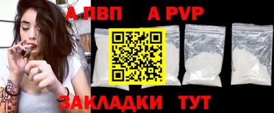 спиды Гай