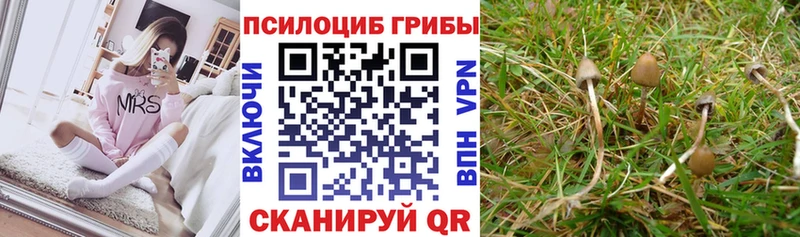 Галлюциногенные грибы мицелий Губкин