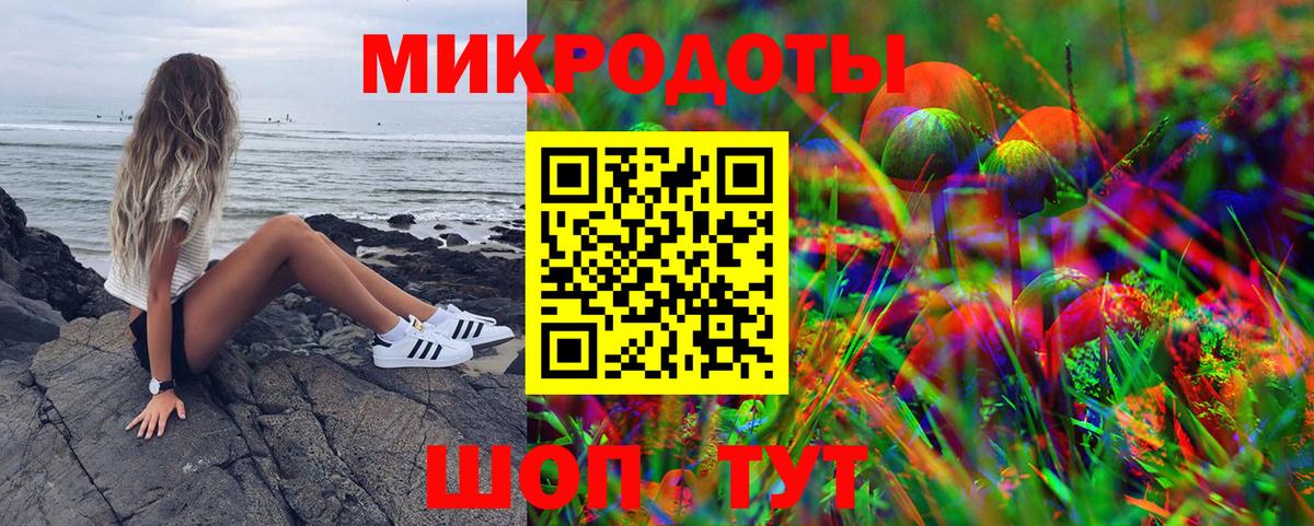 Псилоцибиновые грибы прущие грибы Губкин