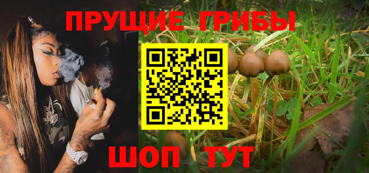 цены наркотик  Губкин  Галлюциногенные грибы Psilocybine cubensis 
