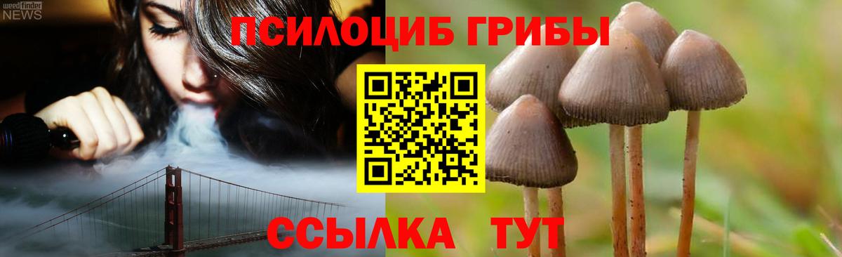 Псилоцибиновые грибы прущие грибы  Вход с VPN  Губкин  Галлюциногенные грибы прущие грибы 