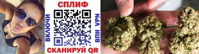Каннабис семена  Губкин 