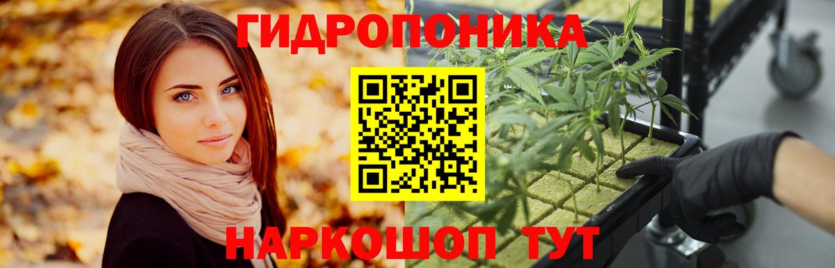 Канабис семена Губкин
