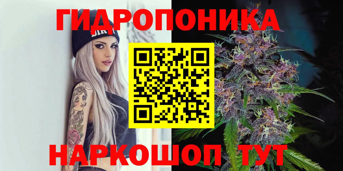 Шишки марихуана SATIVA & INDICA  Вход с VPN  Губкин  Канабис SATIVA & INDICA  Каннабис тримм 